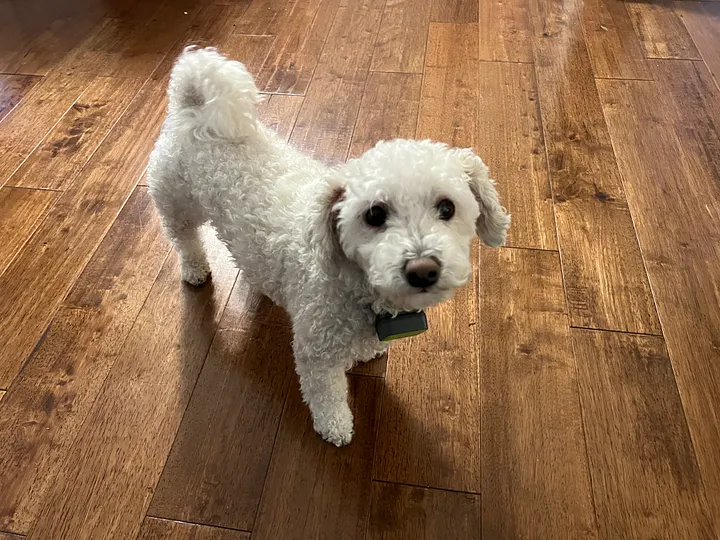 Object Replacement input 1